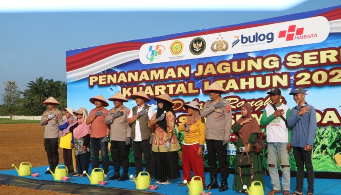Polda Sumut Tanam Jagung Serentak Kuartal I 2026, Perkuat Ketahanan Pangan Nasional
