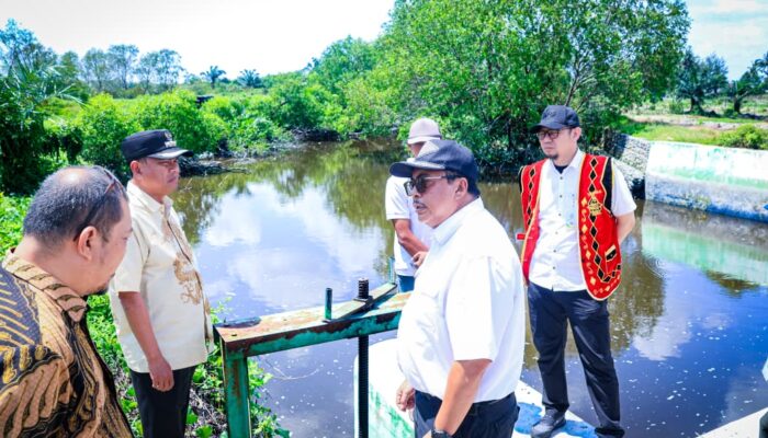 Sinergi Pusat-Daerah, Bupati Sergai Dorong Percepatan Perbaikan Irigasi untuk Dongkrak Hasil Panen