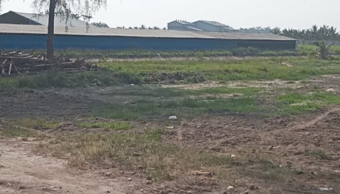 Bau Kotoran Ayam Ganggu Warga Teluk Mengkudu, Ketegangan Nyaris Berujung Aksi Anarkis