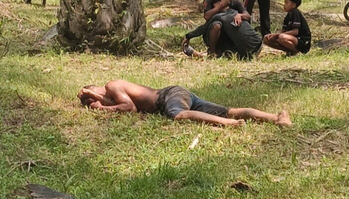 Pria Ditemukan Tewas Bersimbah Darah di Kebun Sawit Socfindo Matapao, Diduga Korban Pembunuhan
