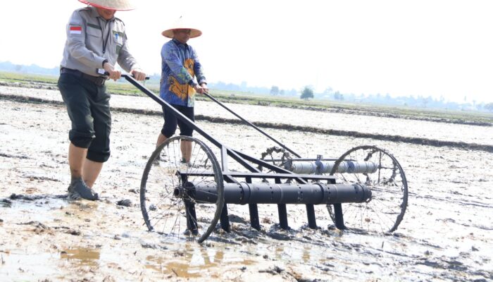Percepatan Tanam Modern di Sergai: Bupati Dorong Petani Beralih ke Teknologi, Kejar Target 10 Ton per Hektar
