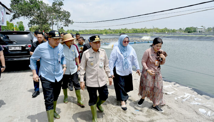 Tinjau UPTD BIAPAL Sialang Buah, Wagub Sumut Surya Dorong Peningkatan PAD Sektor Perikanan