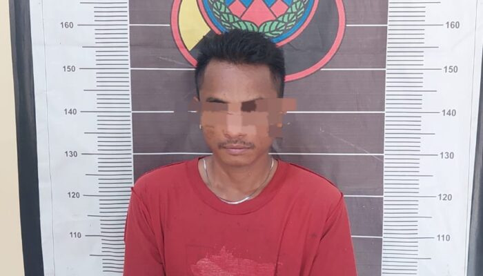 Polsek Lima Puluh Ringkus Pria Pembawa 11 Bungkus Ganja di Batu Bara