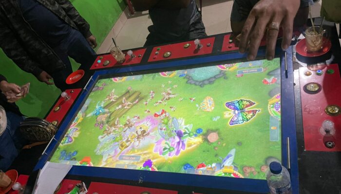 Polres Karo Bongkar Judi Tembak Ikan di Tigabinanga, Dua Wanita Diamankan