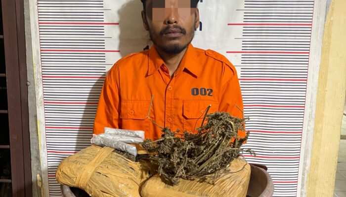 Terendus Transaksi di Kawasan Wisata, Polisi Ringkus Pengedar Ganja 2 Kg di Bukit Lawang