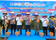 Panen Raya Jagung Serentak 2026: Polda Sumut Perkuat Sinergi Ketahanan Pangan Nasional