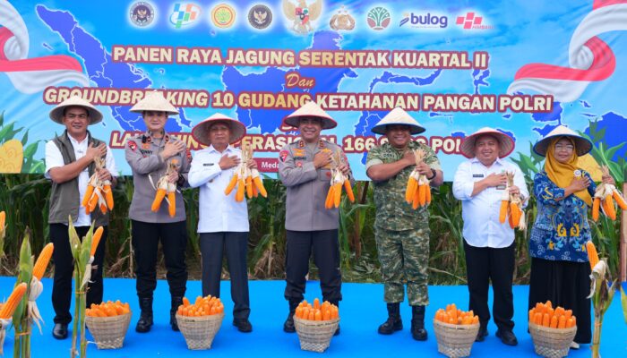 Panen Raya Jagung Serentak 2026: Polda Sumut Perkuat Sinergi Ketahanan Pangan Nasional