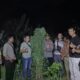 Sembunyikan Ladang Ganja di Balik Tembok, Pria di Tanjung Morawa Dibekuk Polisi