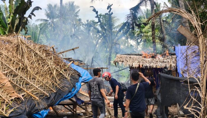 Polda Sumut Sapu Bersih Sarang Narkoba: 97 Lokasi Digerebek, Puluhan Barak Dimusnahkan