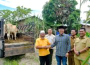 176 Hewan Kurban Disebar ke Pelosok Sergai, Pemkab Perkuat Semangat Berbagi Iduladha 1447 H