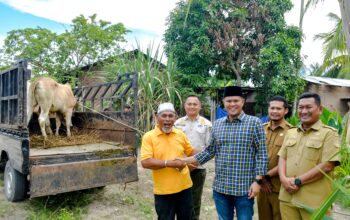 176 Hewan Kurban Disebar ke Pelosok Sergai, Pemkab Perkuat Semangat Berbagi Iduladha 1447 H