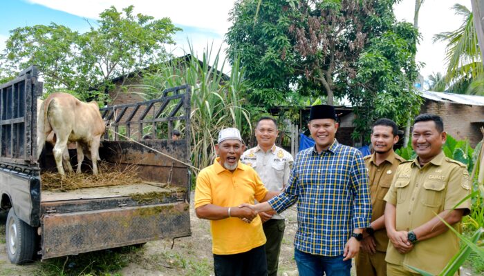 176 Hewan Kurban Disebar ke Pelosok Sergai, Pemkab Perkuat Semangat Berbagi Iduladha 1447 H
