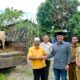 176 Hewan Kurban Disebar ke Pelosok Sergai, Pemkab Perkuat Semangat Berbagi Iduladha 1447 H