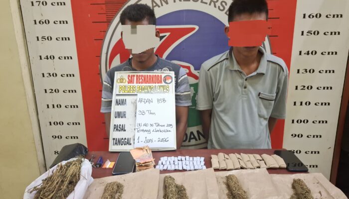Digerebek di Pinggir Sungai, Dua Terduga Pengedar Ganja di Padang Lawas Ditangkap Polisi
