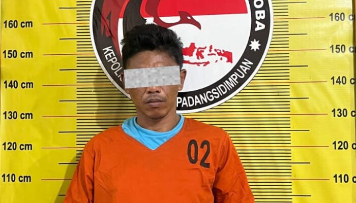 Puluhan Paket Sabu dan Ganja Digagalkan Polisi, Pengedar di Padangsidimpuan Diciduk dari Rumahnya