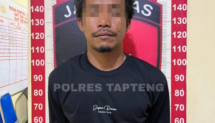 Aksi Brutal di Pasar Pandan! Nelayan Asal Madina Seret IRT ke Penginapan dan Rampas Ponsel, Berakhir Dibekuk Polisi