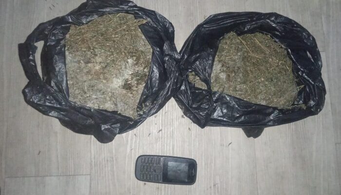 Ganja 840 Gram dari Aceh Digagalkan Masuk Belawan, Pria 56 Tahun Diciduk Sat Narkoba