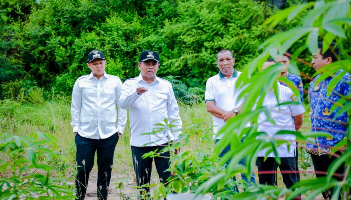 Pemkab Sergai Siapkan Pasar Hewan Modern di Sei Rampah, Ditargetkan Mulai Dibangun Tahun 2026