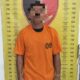 Polres Sergai Berhasil Amankan Pelaku Pencabulan Anak saat Bekerja