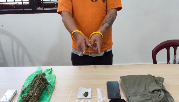 Satresnarkoba Polres Karo Ringkus Petani, Sabu dan Ganja Disita dari Dua Lokasi Berbeda