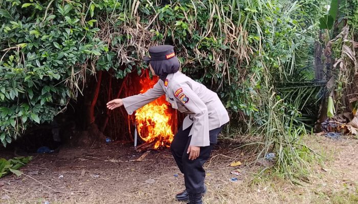 Polsek Binjai Musnahkan Barak Narkoba di Tandem Hilir, Tiga Bong Ditemukan