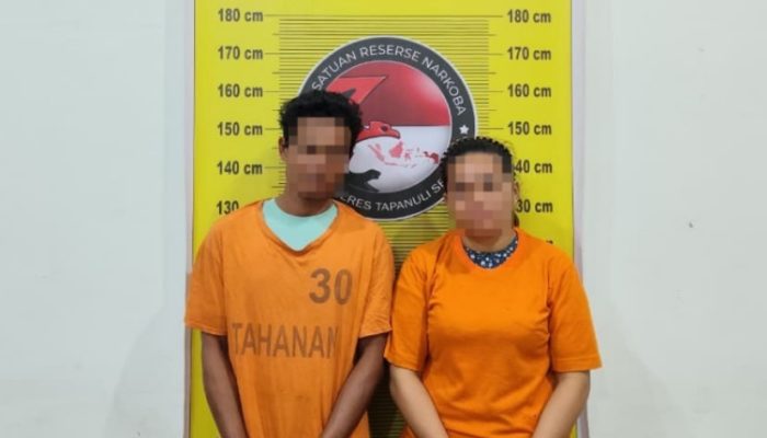 Lima Kilogram Ganja Diamankan di Batang Angkola, Dua Orang Dibawa Polisi
