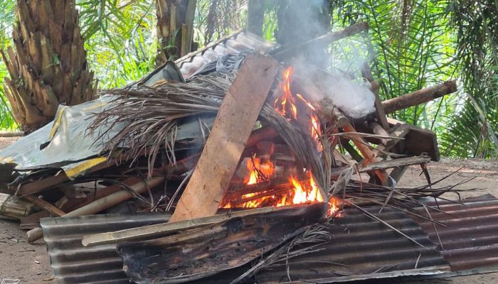 Sat Narkoba Polres Sergai Gerebek Sarang Narkoba di Sungai Buaya, Satu Terduga Pelaku Diamankan