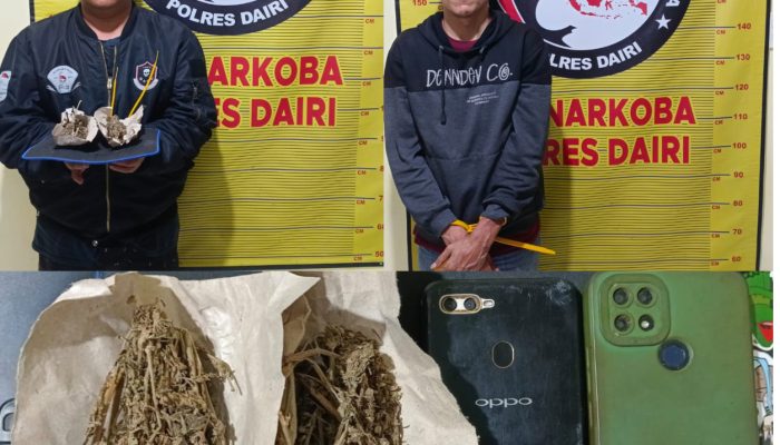 Kurir dan Pengedar Ganja Dibekuk, Polisi Sita 18,05 Gram di Bintang Mersada