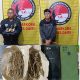 Kurir dan Pengedar Ganja Dibekuk, Polisi Sita 18,05 Gram di Bintang Mersada