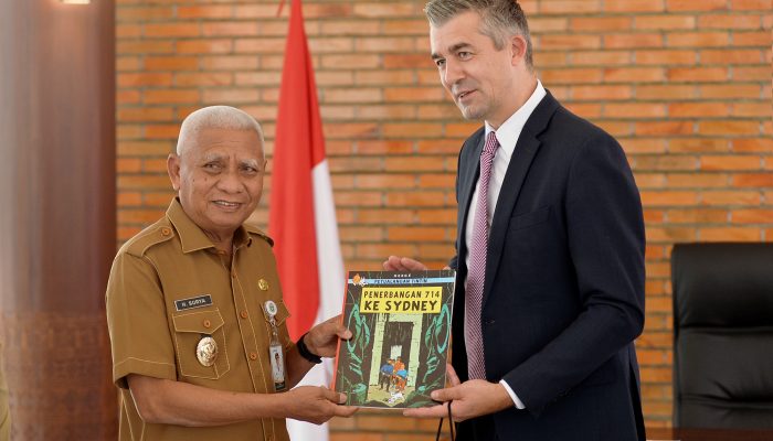 Wagub Surya Tawarkan Potensi Investasi Sumut kepada Duta Besar Belgia