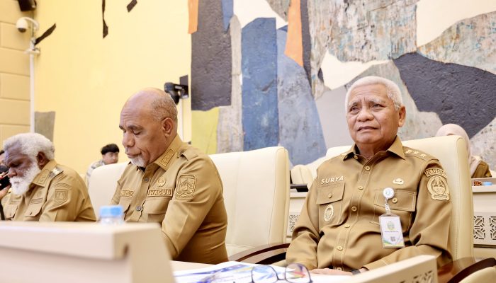 RDP dengan Komisi II DPR RI, Wagub Surya Paparkan Strategi Optimalisasi Aset dan BUMD untuk Dongkrak PAD Sumut