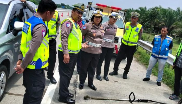 Dua Pekerja Pemotong Rumput Tewas Disambar Dump Truk di Tol Medan-Tebing Tinggi