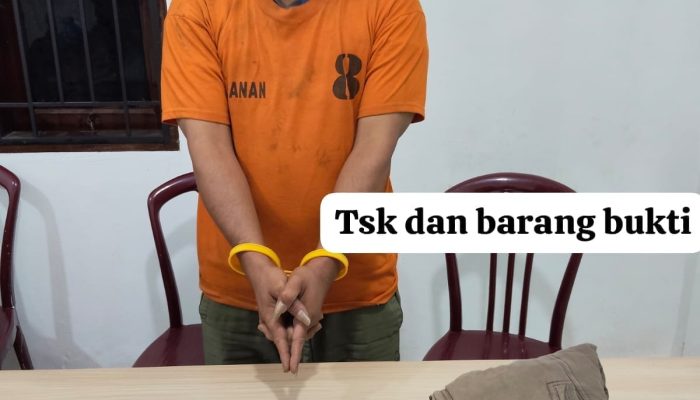 Pengembangan Kasus Bawa Polisi ke Rekanan, Dua Pria Diciduk Bawa 39,79 Gram Sabu di Karo