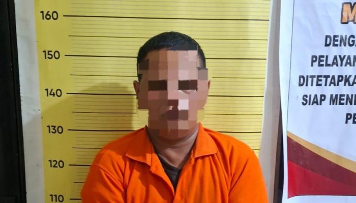 Polres Taput Amankan Pria Diduga Pengedar Sabu, Barang Bukti Disembunyikan dalam Topi