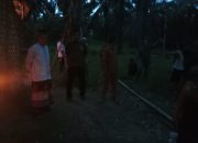 Drama Penyamaran di Kebun Sawit, Polisi Gerebek Gubuk Transaksi Narkoba di Pertambatan