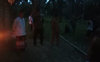 Drama Penyamaran di Kebun Sawit, Polisi Gerebek Gubuk Transaksi Narkoba di Pertambatan