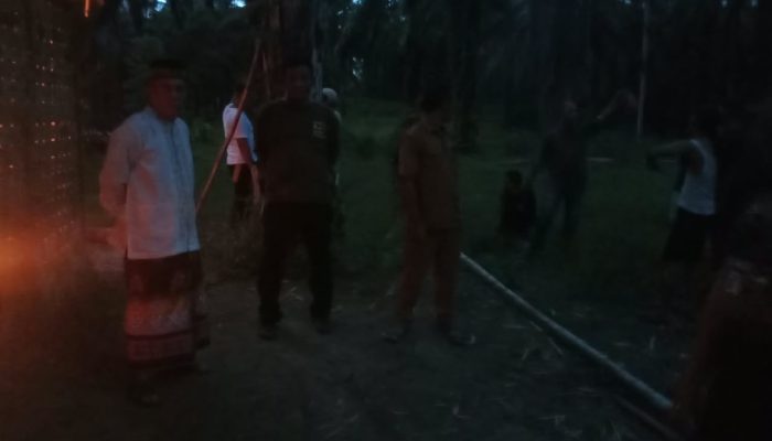 Drama Penyamaran di Kebun Sawit, Polisi Gerebek Gubuk Transaksi Narkoba di Pertambatan