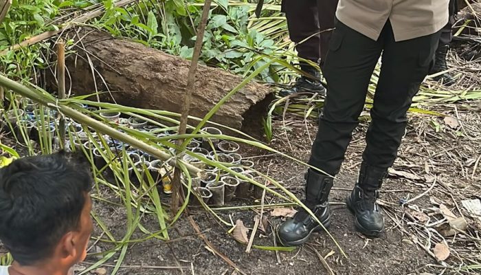 Polres Sergai Gerebek Lokasi Diduga Sarang Narkoba di Pantai Cermin Kiri, Seorang Pria Diamankan
