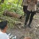 Polres Sergai Gerebek Lokasi Diduga Sarang Narkoba di Pantai Cermin Kiri, Seorang Pria Diamankan