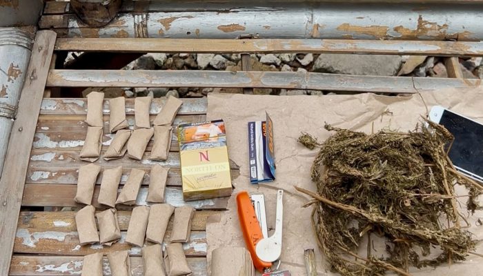 Operasi Sarang Narkoba di Belawan, Enam Orang Diamankan Polisi Bersama Barang Bukti Sabu dan Ganja